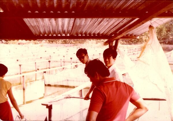 1980 Kranji Farm Rearing Goldfish and Local Carp