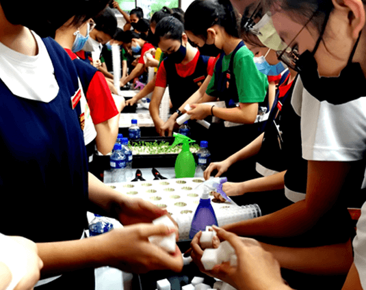 Corporate Programme B