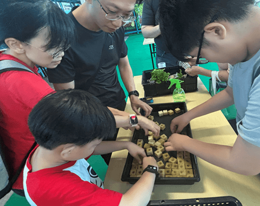 Corporate Programme A